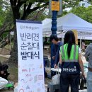 올바른 반려견 보호자 교육 | 김해 반려견 순찰대 조건 및 발대식 다녀왔어요