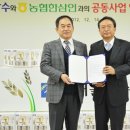 장수홍삼