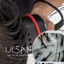 청솔초등학교 | 울산 두피관리 배럴스두피탈모센터 탈모 클리닉 재방문 솔직 후기