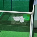 댕스파크 이미지