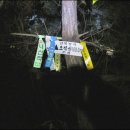 32번국도 이미지