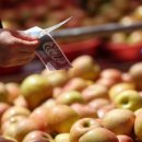 &#34;전국민 민생지원금요?&#34;…직장인·취준생·상인 &#39;엇갈린 반응&#39; 이미지