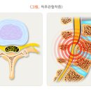 정직한신경외과의원 이미지