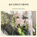 로앤로더아뜰리에