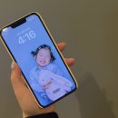 댕댕인럽 이미지