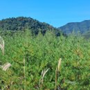 전원 부동산 중개인 사무소 이미지