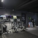 더핼스랜드