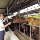 안나축산 이미지