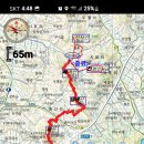 충남담배