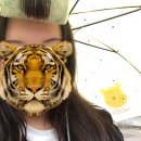 차윤 | 이마부디침방지 ㅋ