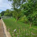 버들목장 이미지