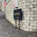아담빌라 | 가평키즈풀빌라 하야타키즈풀빌라 단미방 내돈내산 후기