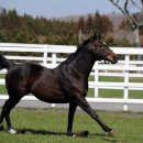 부마목장 이미지