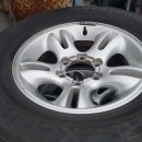 거구돼지 이미지