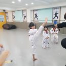 자이태권도 이미지