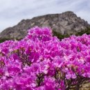 보문기획