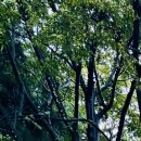 의료법인 신명진의료재단 이미지