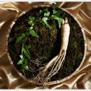 진서울치과의원 이미지