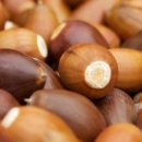 도토리한의원 이미지