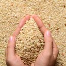 앤드푸드 이미지