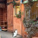 단감 수선장 앞(간이화장실) | 하이원리조트 2박 3일 먹부림 기록｜식당·카페·배달까지 전부 내돈내산