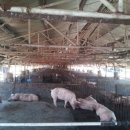 천남농장 이미지