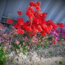 화진농장 이미지