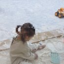 헬로밀가루 부산사상점 이미지