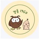 [경동시장 꼬집스 14기] 9-10월 활동 후기