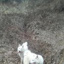 아롱이다롱이 이미지