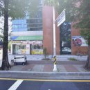 푸른나무약국 이미지