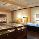 경북대학교 자연사박물관 이미지