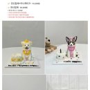 우아몽 네이버블로그