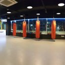 밤짐복싱 이미지