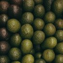 아보카도 이미지