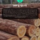 주식회사 상생홀딩스 네이버블로그