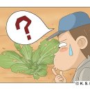 해충박사