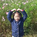 장동쉬엄쉬엄 이미지