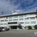 거진전통시장(어시장) 네이버블로그