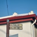 함덕 화산송이 펜션 | 여행] 2일차 - 하도리 유채꽃밭, 비자림, 성산일출봉, 섭지코지 유채꽃, 남원포구 블랑블루펜션 딱새우회