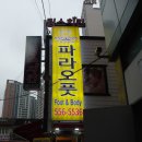 파라오풋 이미지