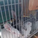 우리집농장 이미지