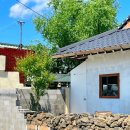 경주 청과슈퍼 | 경주 황촌마을 제주 감성 신상 카페 고냅브로시스, 푸릇 소다 추천