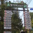 개야리 마을회관 | [홍천 팸투어 9.10~9.11] 1일차 복주머니마을 ② 고기잡이/트래킹/바베큐바티