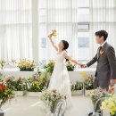 트라디노이 이미지