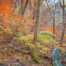 문동휴양지 이미지