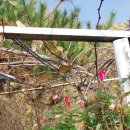 평화전자 이미지