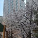 곰돌이어린이공원 네이버블로그