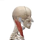 존피트니스 이미지