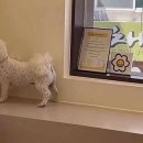 로엘유치원 이미지